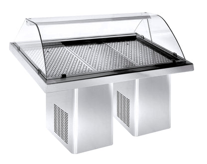 GEKÜHLTE FISCH VITRINE 1.9